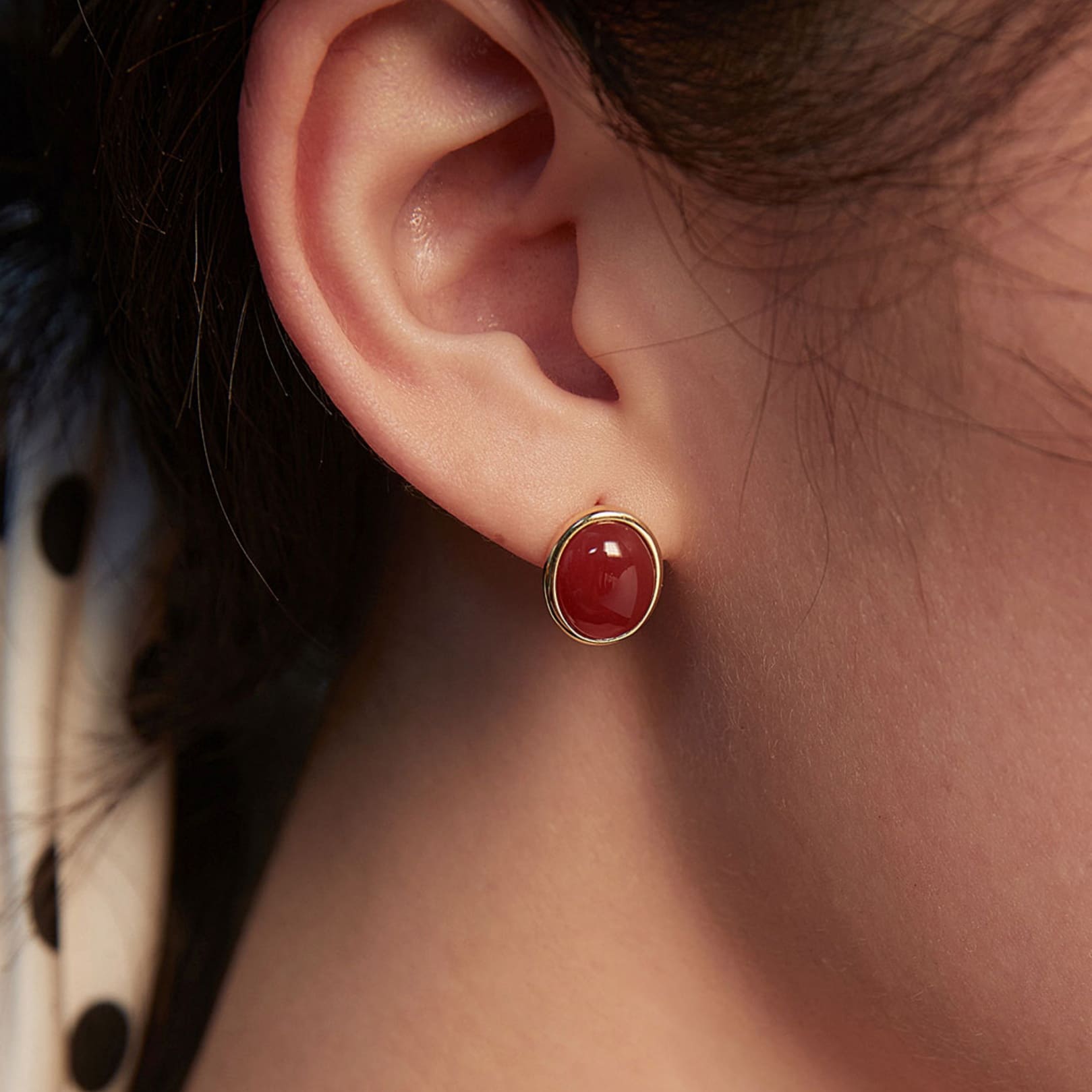 Red Agate & Tiger's Eye Earrings